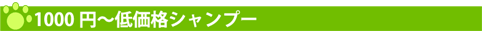 低価格シャンプー